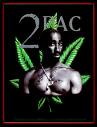 2 pac