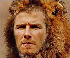 beckam